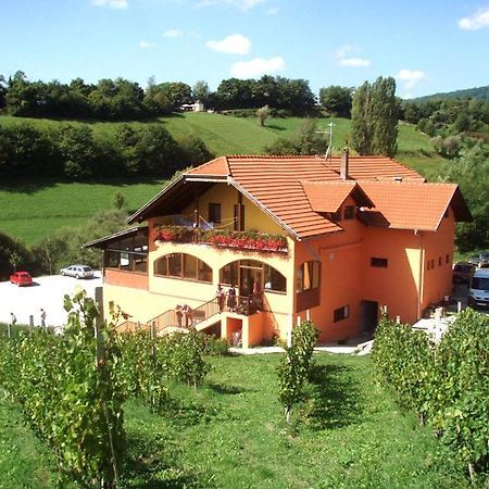 Klet Jana Bed & Breakfast Jastrebarsko Buitenkant foto