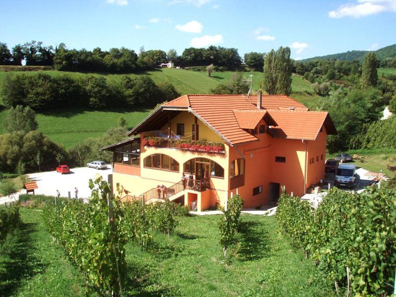 Klet Jana Bed & Breakfast Jastrebarsko Buitenkant foto