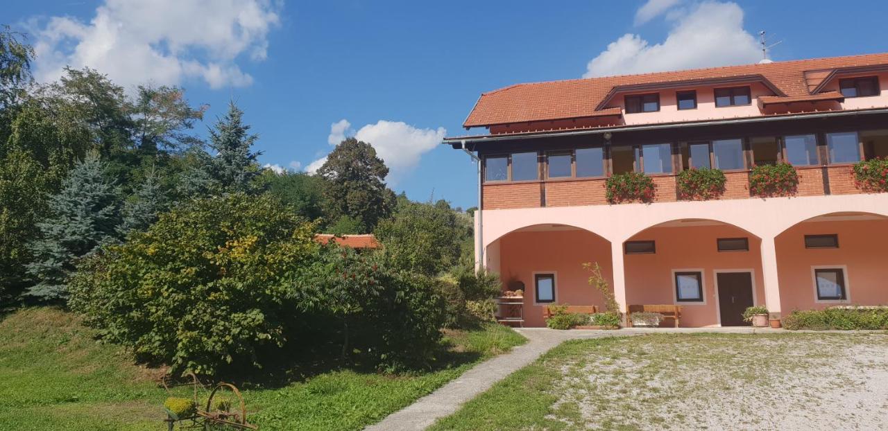 Klet Jana Bed & Breakfast Jastrebarsko Buitenkant foto