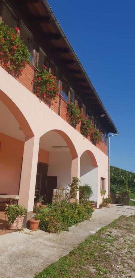 Klet Jana Bed & Breakfast Jastrebarsko Buitenkant foto