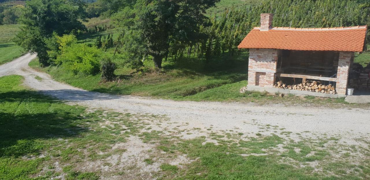 Klet Jana Bed & Breakfast Jastrebarsko Buitenkant foto