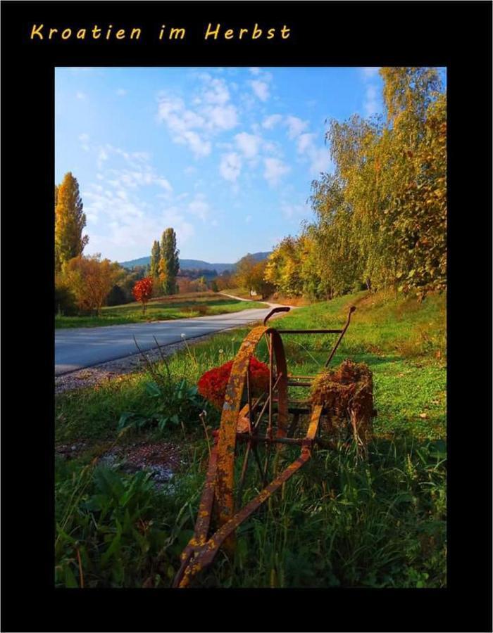 Klet Jana Bed & Breakfast Jastrebarsko Buitenkant foto
